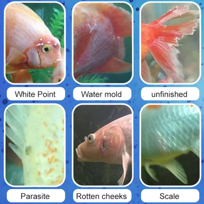 SIKEZHAN Fish Disease Treatmen - огляд і ціна Water Soluble Stabilizer